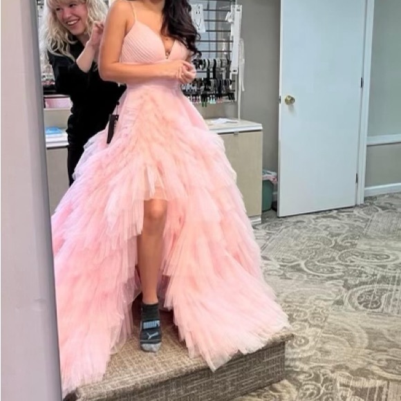 Sherry Hill Pink Gown - Picture 6 of 6